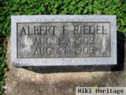 Albert Francis Riedel