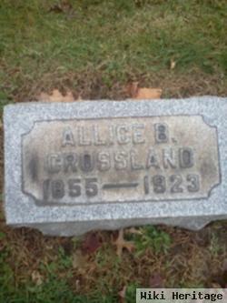 Allice B Crossland