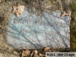 David M Wilkinson