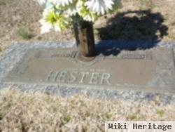Thomas R Hester