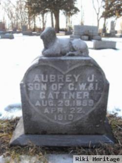 Aubrey J Gattner