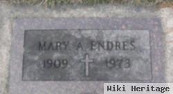 Mary A Endres