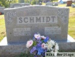 Darlene H. Saak Schmidt