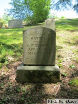 Hattie Rebecca Wilder Bledsoe