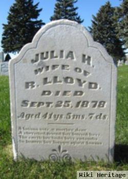 Julia H Lloyd