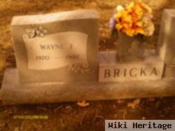 Wayne F Bricka