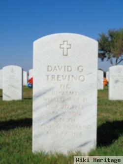 David G Trevino