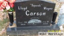 Lloyd Wayne Carson