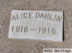 Alice Dahlin