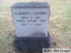 Elizabeth J Johnson