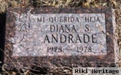 Diana S Andrade