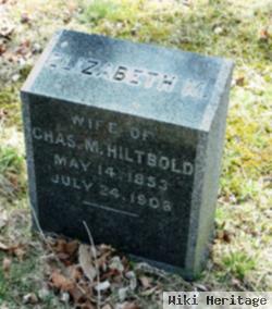 Elizabeth M Hiltbold