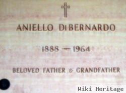 Aniello Dibernardo