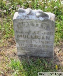 Walter Mulligan