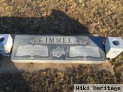 Elmer Rex Immel