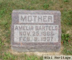 Amelia Bartels