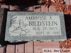 Ambrose A. Bildstein