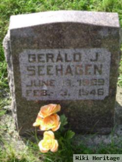 Gerald J Seehagen