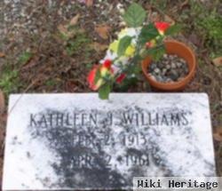 Kathleen J. Williams