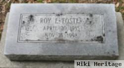 Roy E Foster