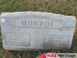 Sarah Ellen Worthington Monroe