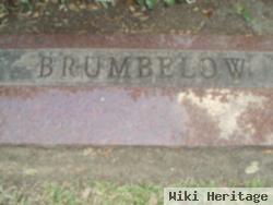 Raymond Abner Brumbelow