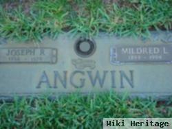 Joseph Richard Angwin