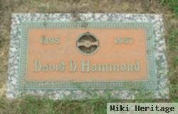 David D. Hammond