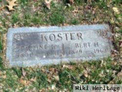 Bert H Koster