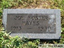 Joe Foster Hayes