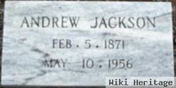 Andrew Jackson Davis