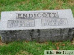 Olive G Endicott