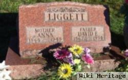 David E Liggett