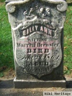 Sally Ann Strong Brewster