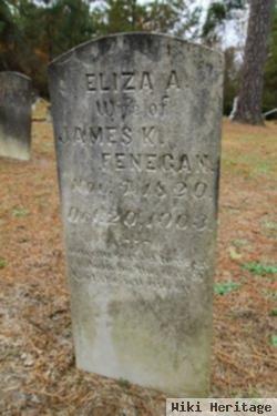 Eliza Ann Fenegan