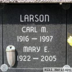 Mary E Larson