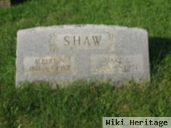 Mary A. Shaw