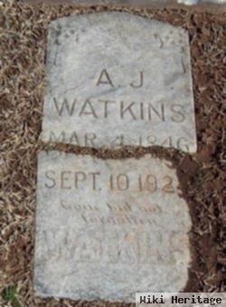 Andrew Jackson Watkins