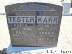 Peter Tester