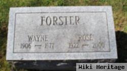 Wayne W. Forster