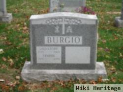 Erminie T. Burgio