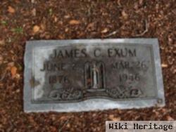 James C. Exum