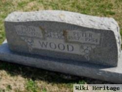 Peter Wood