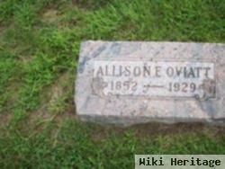 Allison E Oviatt