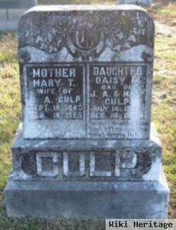 Mary T Culp Culp