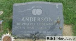 Bernard L "bernie" Anderson