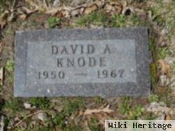 David A. Knode