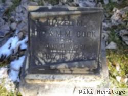 Hazel M. Cook