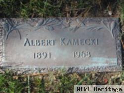 Albert Kamecki