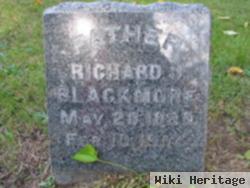 Richard J. Blackmore